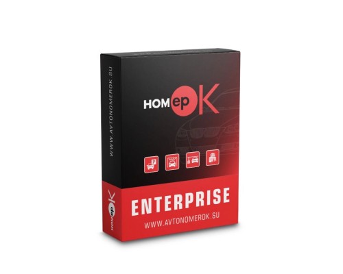 ПЗ для розпізнавання автономерів HOMEPOK Enterprise 2 канали з модулем контролю правил дорожнього руху і для керування СКУД
