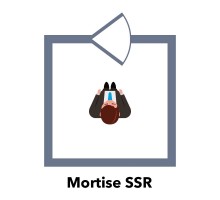 Ригельний замок ATIS Lock Mortise SS-R врізний для системи контролю доступу